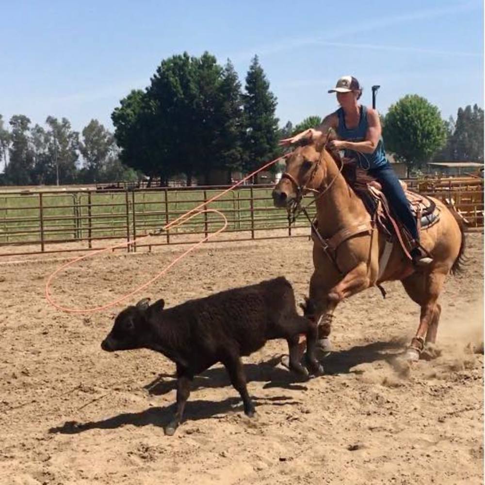 Meet your Posher, Liz